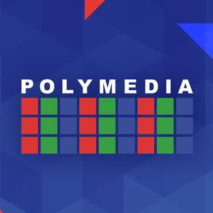 Статистика Дзен Polymedia Integration