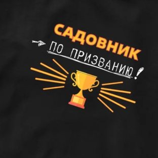 Статистика Дзен Озеленение в Тюмени