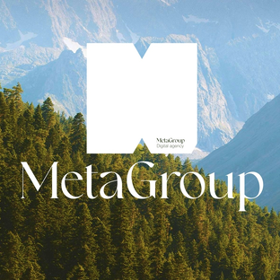 Статистика Дзен Meta Group