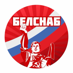 Статистика Дзен БелСнаб🇷🇺Более 9 лет опыта💪
