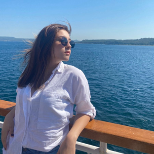 Статистика Дзен Мой отпуск у моря