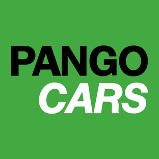 Статистика Дзен Pango Cars
