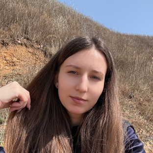 Статистика Дзен Лес и море | Екатерина Астанина