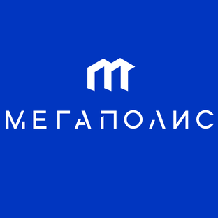 Статистика Дзен МЕГАПОЛИС | Строительство домов