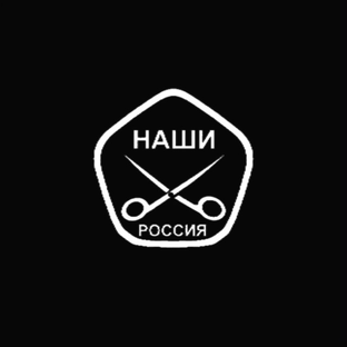 Статистика Дзен нашиножницы.рф