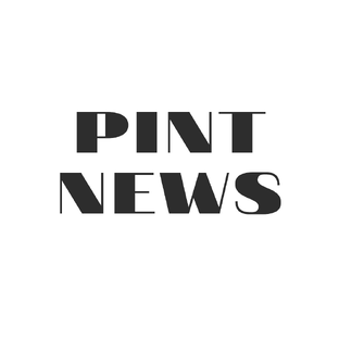 Статистика Дзен PintNews