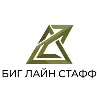 Статистика Дзен Биг Лайн Стафф - аутсорсинг и аутстаффинг персонала