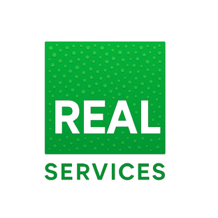 Статистика Дзен Real Services