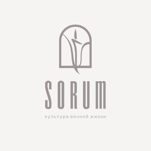 Статистика Дзен SORUM