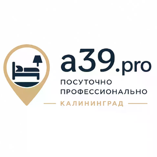 Статистика Дзен a39.pro | Посуточно. Профессионально. Калининград