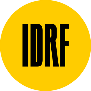 Статистика Дзен IDRF Club
