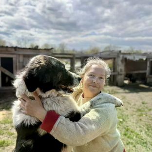 Статистика Дзен Ольга Богомолова