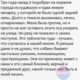 Статистика Дзен Кирил