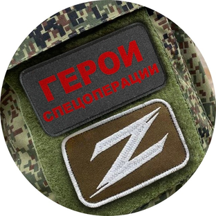 Статистика Дзен Герои спецоперации Z