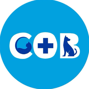 Статистика Дзен АНО "СОВет"| Социально ориентированная ветеринария