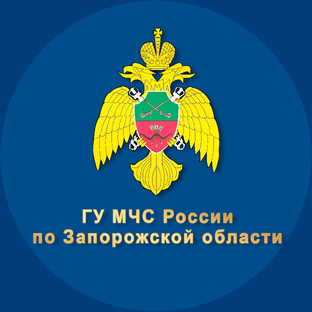 Статистика Дзен МЧС Запорожской области