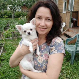 Статистика Дзен Живое рядом | Любава Лапкина