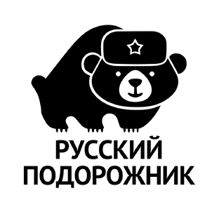 Статистика Дзен Русский Подорожник