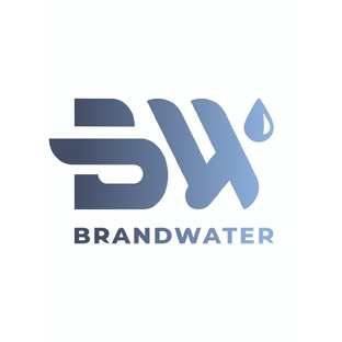 Статистика Дзен Brand Water | Брендированная вода и мерч