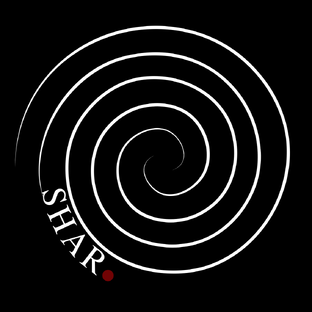 Статистика Дзен SHAR Production