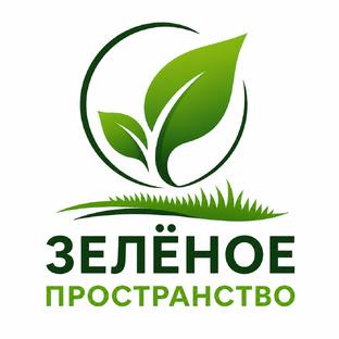 Статистика Дзен Зелёное Пространство
