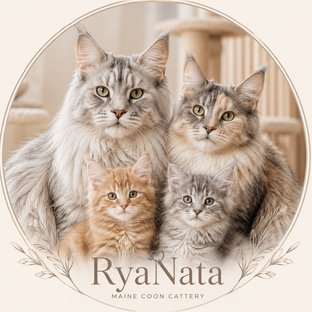 Статистика Дзен Мейн-куны RyaNata | Жизнь с гигантами