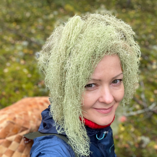 Статистика Дзен Поющий грибник 🍄‍🟫Екатерина  Полянцева