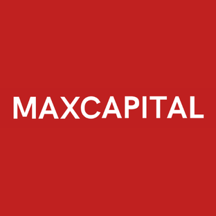 Статистика Дзен MAXCAPITAL