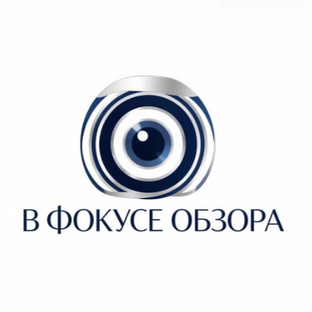 Статистика Дзен В фокусе обзора