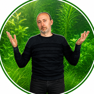Статистика Дзен Аквариумы от Фролова