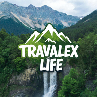 Статистика Дзен TravAlex Life