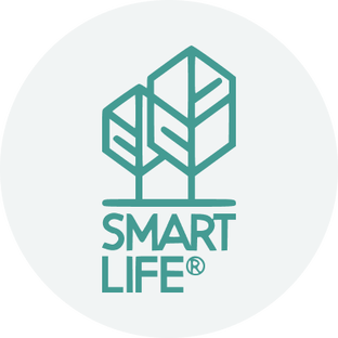Статистика Дзен SmartLife