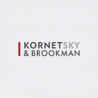 Статистика Дзен Kornetsky & Brookman | дела по товарным знакам и авторским правам