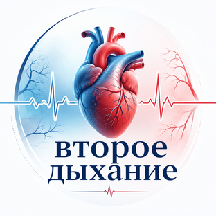 Статистика Дзен Второе дыхание