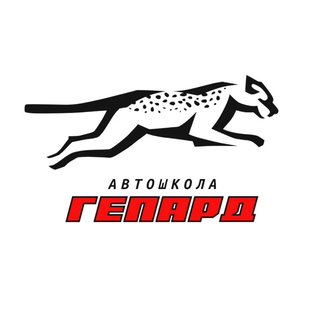Статистика Дзен Автошкола Гепард