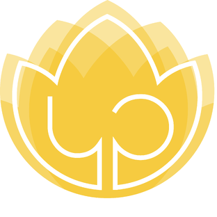 Статистика Дзен PRO YOGA
