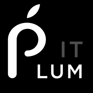 Статистика Дзен Plumit 