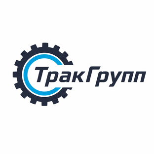 Статистика Дзен Трак Групп
