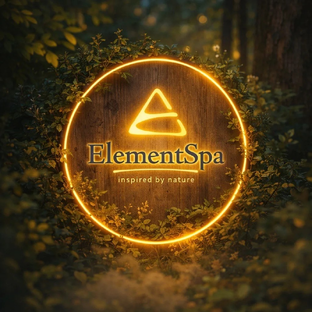 Статистика Дзен Element SPA