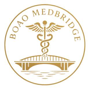 Статистика Дзен MedBridge — медицина в Китае.