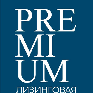 Статистика Дзен Премиум Лизинг