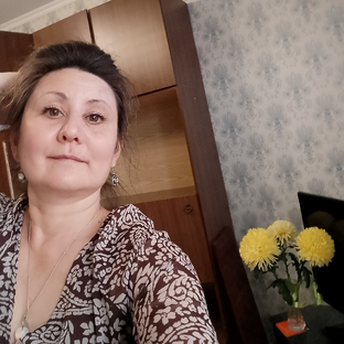 Статистика Дзен Траектория Своих Мыслей