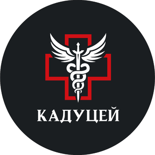 Статистика Дзен Торговый Дом Кадуцей