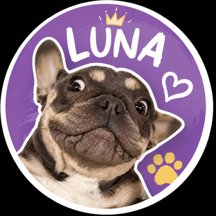 Статистика Дзен Луна | Luna Boops