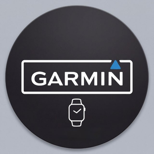 Статистика Дзен Garmin Ростов