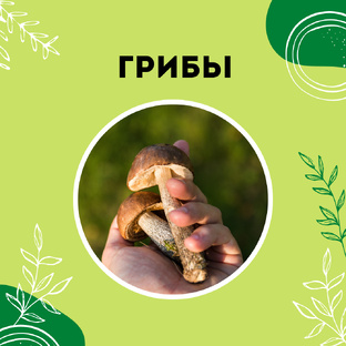 Про грибы