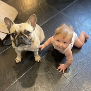 Ребята и зверята! 