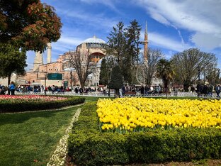 Год в Стамбуле