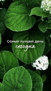 Лучшие цитаты для тебя ❣️