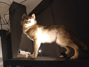 Разведка и контрразведка